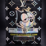 Gigi’s Wet Dream semillas feminizadas cannabis copy cat genetic x 6 und