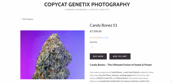 Captura de pantalla 2025-11-11 111430 CANDY BONEZ s1 – Semillas Feminizadas Copy cat genetic pack 6 und