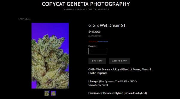 Captura de pantalla 2026-04-04 120854 Gigi’s Wet Dream semillas feminizadas cannabis copy cat genetic x 6 und