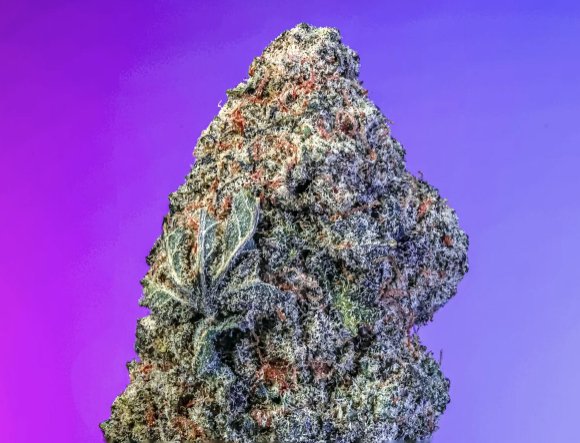 Captura de pantalla 2026-04-04 121047 CANDY BONEZ s1 – Semillas Feminizadas Copy cat genetic pack 6 und