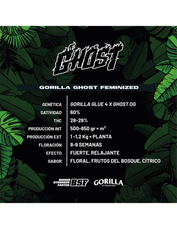 gorilla-ghost-gk-x2-bsf-seeds (1) GORILLA GHOST – Semillas Feminizadas x 2 und