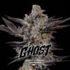 gorilla-ghost-gk-x2-bsf-seeds GORILLA GHOST – Semillas Feminizadas x 2 und